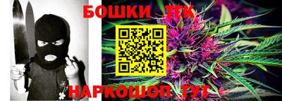 шишки Камышлов
