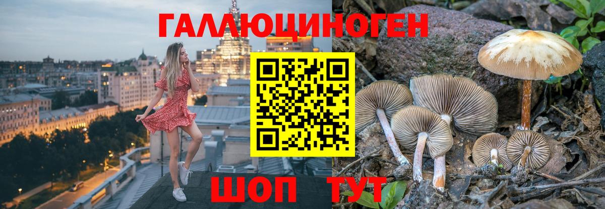 Галлюциногенные грибы мухоморы  Вход с VPN  купить закладку  Лесозаводск 