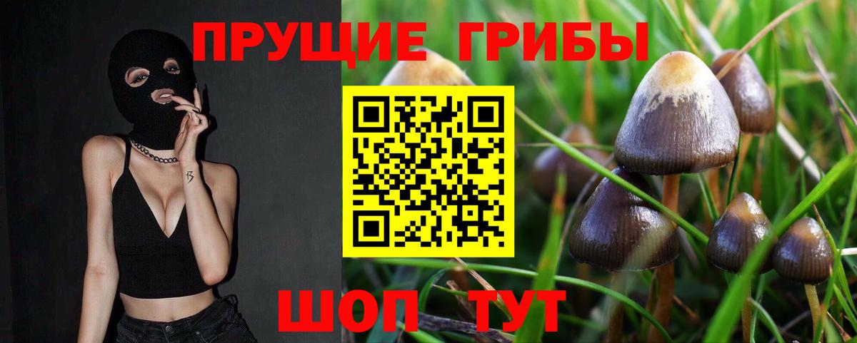 Галлюциногенные грибы Magic Shrooms Лесозаводск